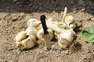 Similar image 21098026