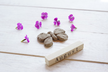 Similar image 21098037