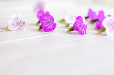 Similar image 21098040