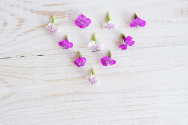 Similar image 21098042