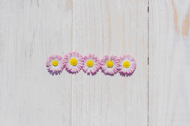 Similar image 21098047