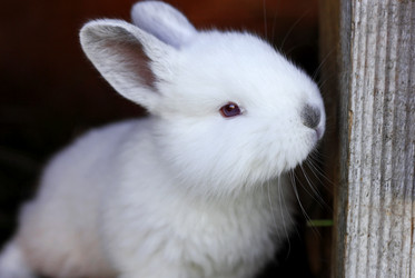 Similar image 21083109