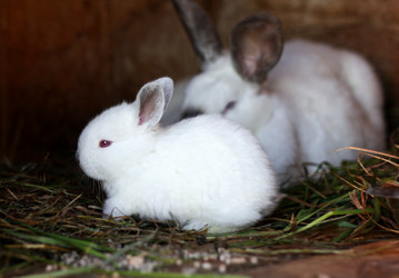 Similar image 21083110