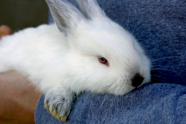 Similar image 21083111