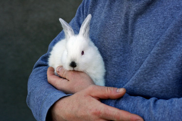 Similar image 21083112