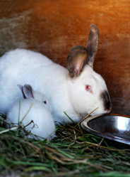 Similar image 21083116