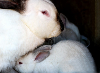 Similar image 21084051