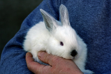 Similar image 21084054