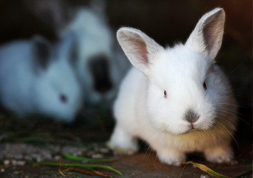 Similar image 21084059