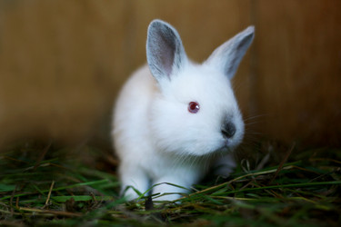 Similar image 21084060