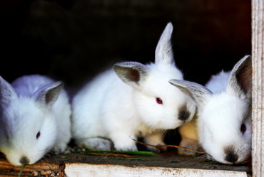 Similar image 21084061