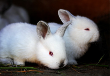 Similar image 21084063