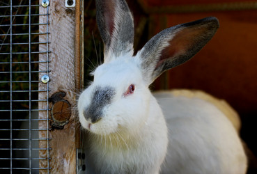 Similar image 21084066