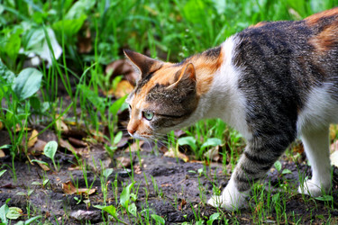 Similar image 21091586