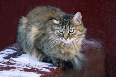 Similar image 21091588