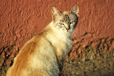 Similar image 21091589