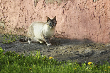 Similar image 21091592