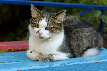 Similar image 21091594