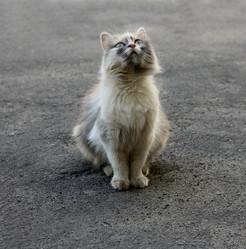 Similar image 21091599