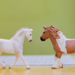 Similar image 21098744