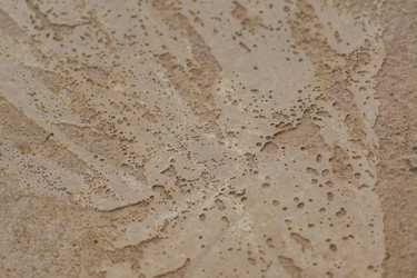 Similar image 21098929