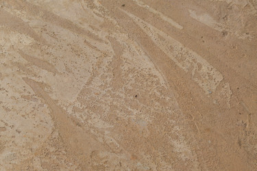 Similar image 21098930