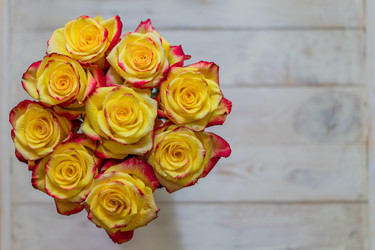 Similar image 21099419