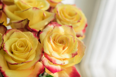 Similar image 21099424