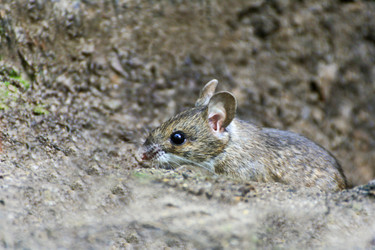 Similar image 21083117