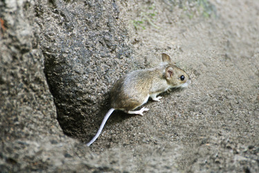 Similar image 21083118