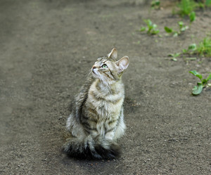 Similar image 21084071