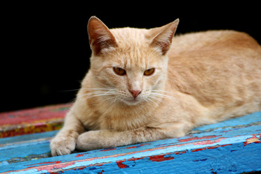 Similar image 21084073