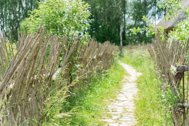 Similar image 21098607