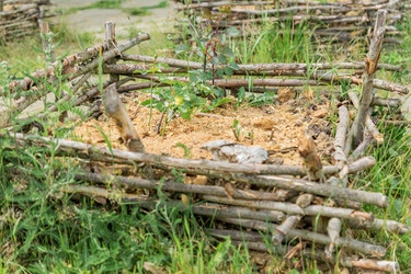 Similar image 21098620