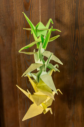 Similar image 21099439