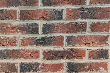 Similar image 21099449