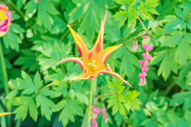 Similar image 21093158