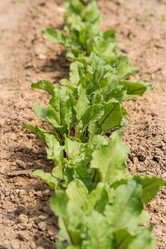 Similar image 21098486