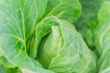 Similar image 21098489