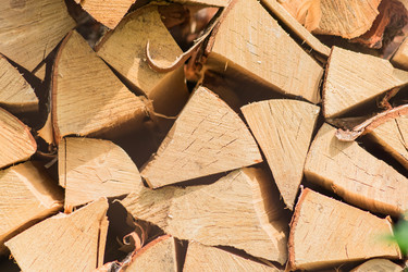 Similar image 21098491