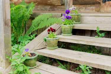 Similar image 21098492