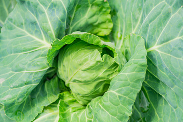 Similar image 21098494