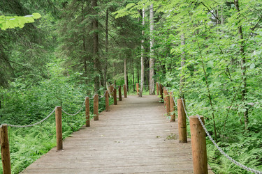 Similar image 21098630