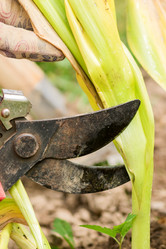 Similar image 21098631