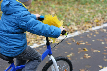 Similar image 21091619