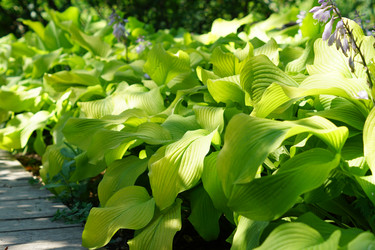 Similar image 21099461