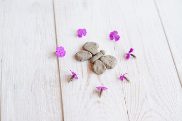 Similar image 21099467