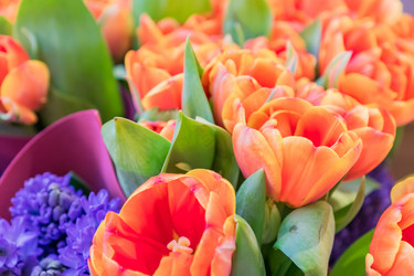 Similar image 21099664