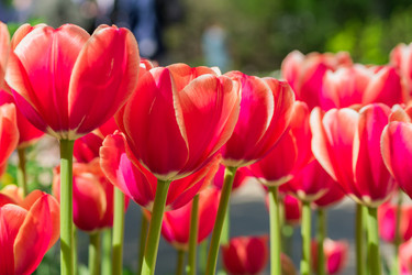 Similar image 21093308