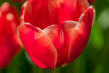 Similar image 21093310